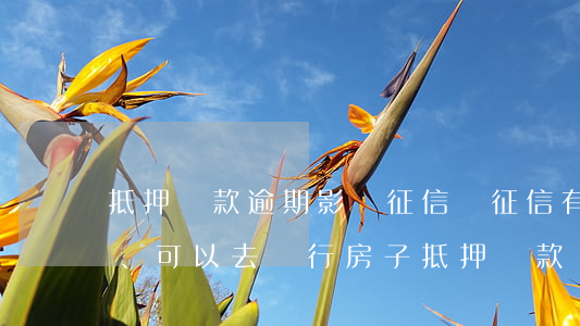 抵押貸款逾期影響征信嗎(征信有過逾期、可以去銀行房子抵押貸款嗎)